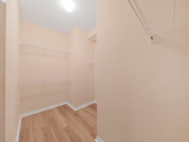 spacious closet featuring light wood-type flooring