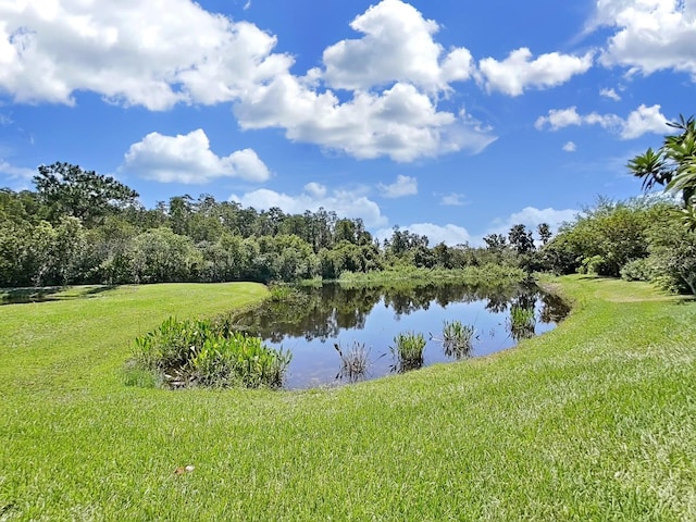 property view of water