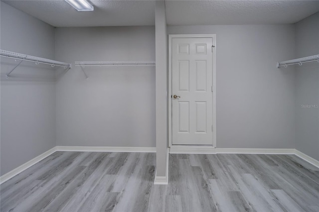 19334 Autumn Woods Ave, Tampa, FL 33647 - spacious closet with wood finished floors