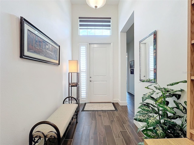 foyer featuring a high ceiling and dark hardwood / wood-style floors