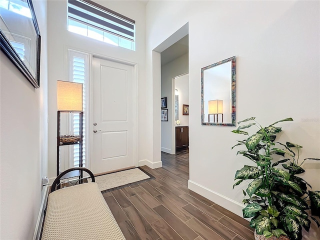 entrance foyer featuring dark hardwood / wood-style floors and a high ceiling