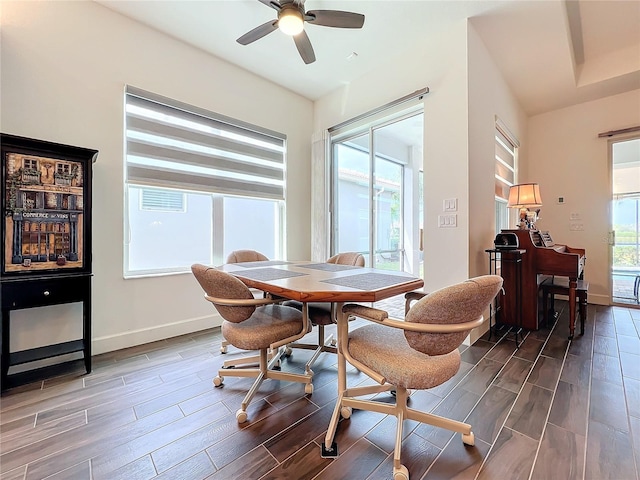 dining room featuring a healthy amount of sunlight and ceiling fan