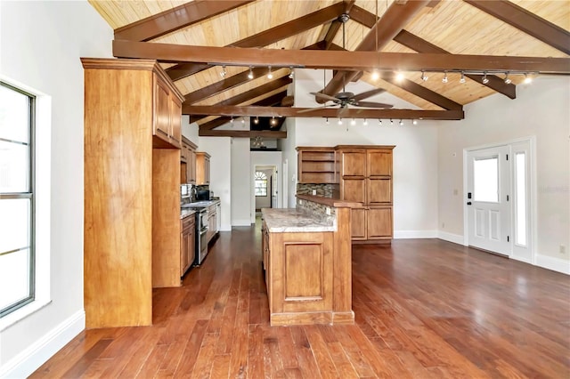 kitchen with dark hardwood / wood-style flooring, rail lighting, and high vaulted ceiling