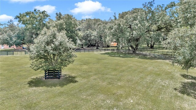 view of yard with a rural view