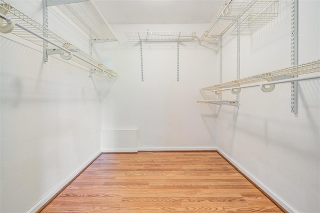 spacious closet featuring hardwood / wood-style floors