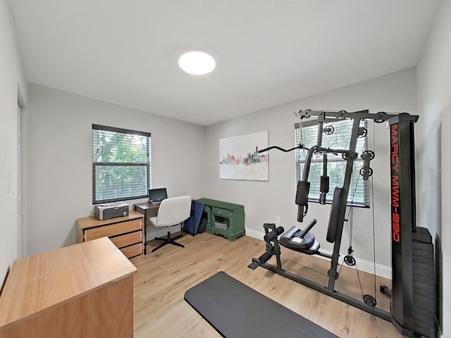 workout area featuring light hardwood / wood-style flooring