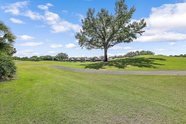 view of property's community featuring a lawn