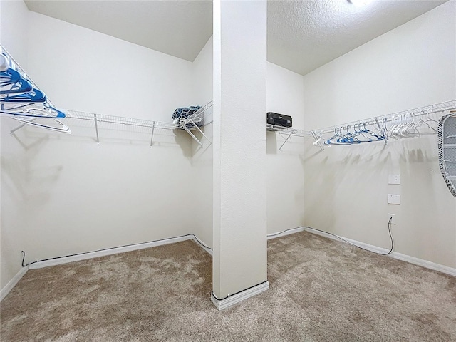 walk in closet featuring carpet floors