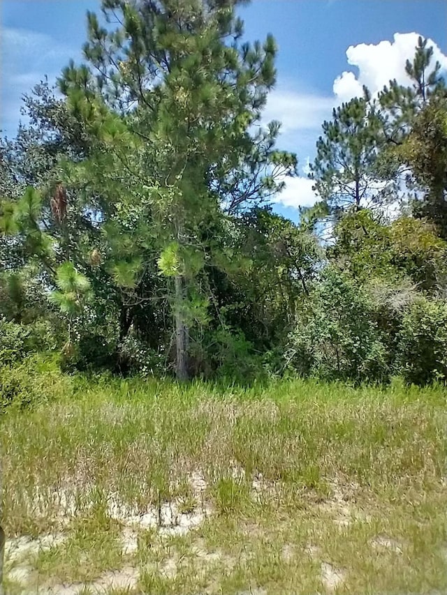 1322 Tallahassee Ct, Kissimmee, FL 34759