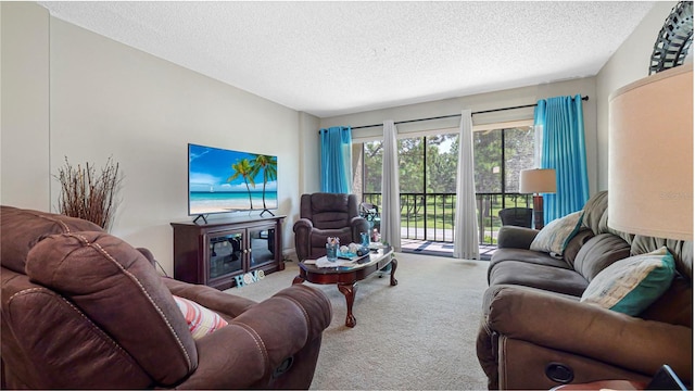 carpeted living room featuring a textured ceiling