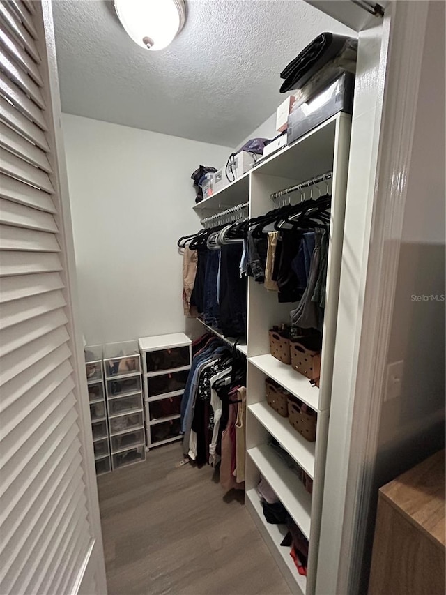 walk in closet with wood-type flooring