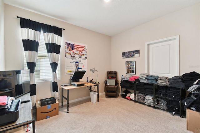 office area featuring carpet floors