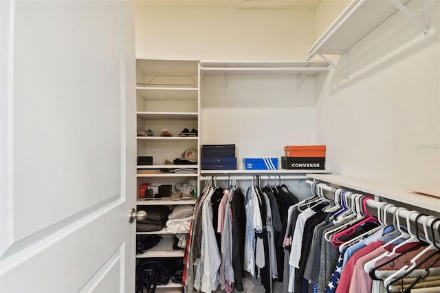 spacious closet featuring carpet floors