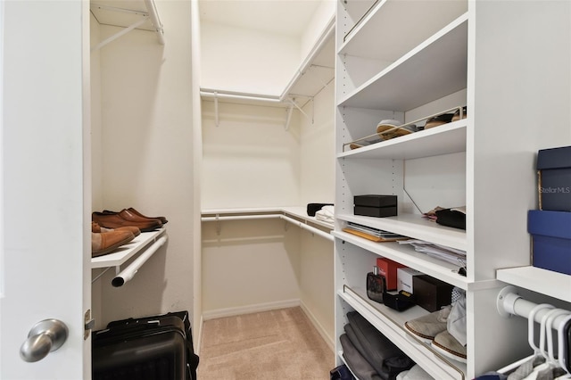 spacious closet with light carpet