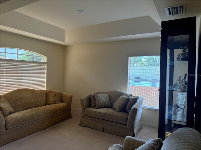 carpeted living room featuring a wealth of natural light