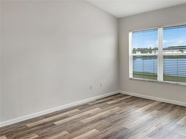 empty room with light wood-type flooring and plenty of natural light