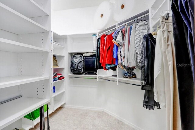 spacious closet with light colored carpet