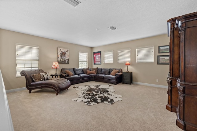 carpeted living room featuring a textured ceiling and plenty of natural light