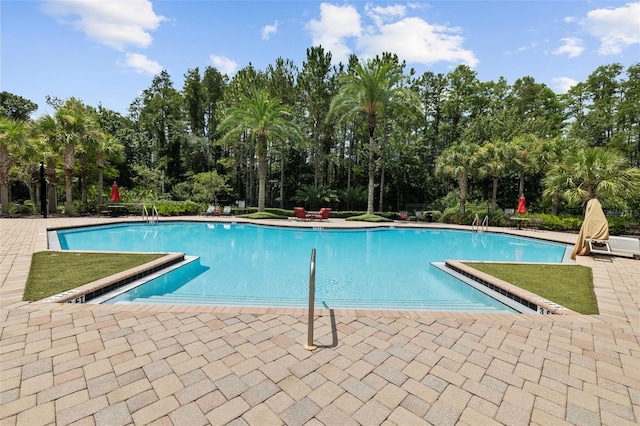 view of swimming pool featuring a patio