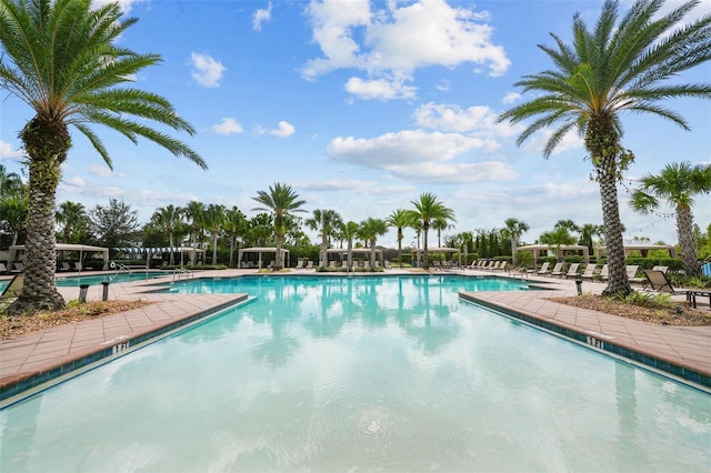 view of pool with a patio area