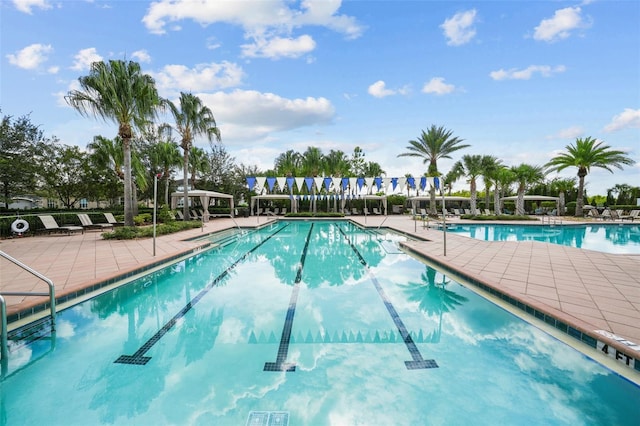 view of pool featuring a patio area