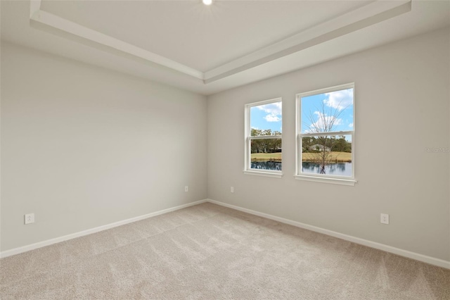 unfurnished room with light carpet, a raised ceiling, and a water view