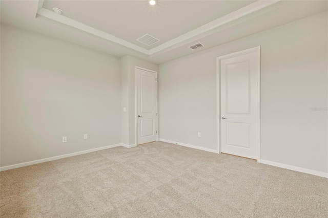 spare room featuring light carpet and a raised ceiling