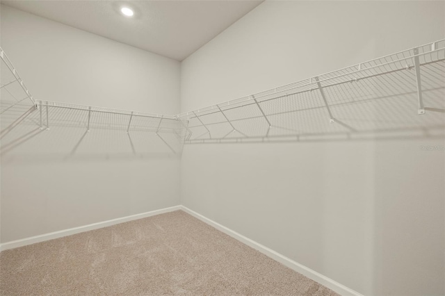 walk in closet featuring carpet flooring