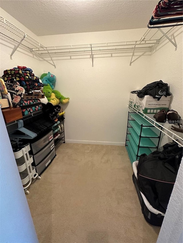 spacious closet with light carpet