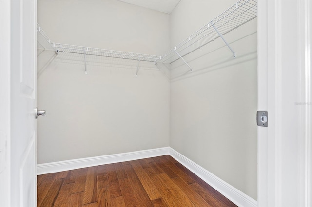 walk in closet with hardwood / wood-style flooring