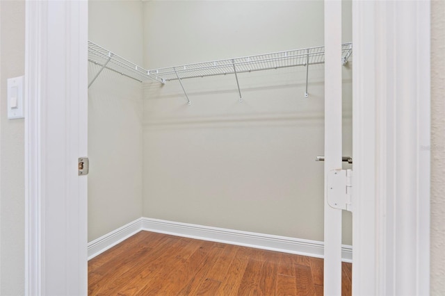 walk in closet with wood-type flooring