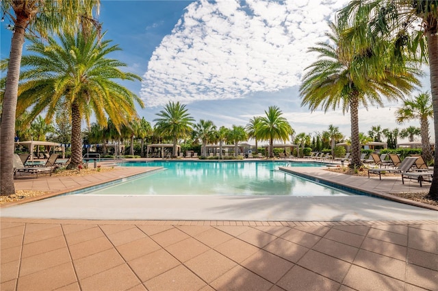 view of swimming pool with a patio