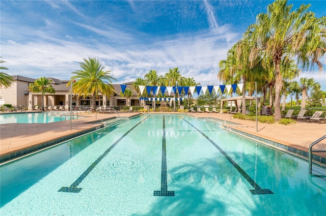 view of swimming pool with a patio