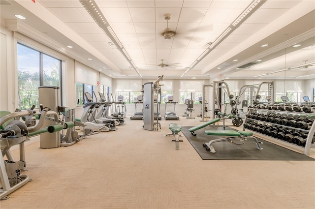 workout area featuring carpet flooring