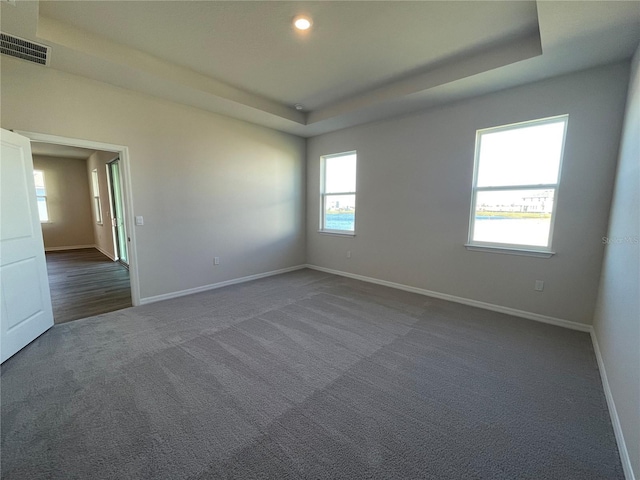 empty room with a tray ceiling and carpet floors