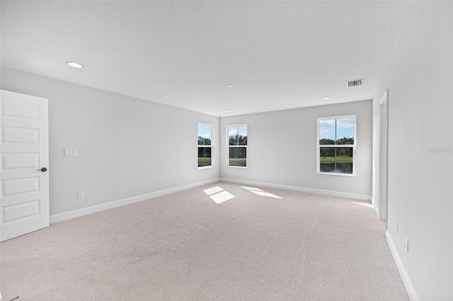 empty room featuring plenty of natural light, light colored carpet, and a textured ceiling