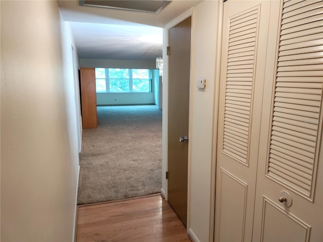 corridor featuring light hardwood / wood-style floors