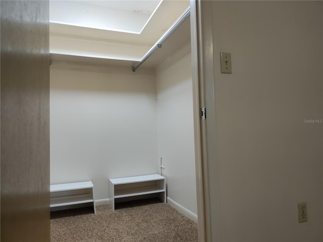 walk in closet with carpet