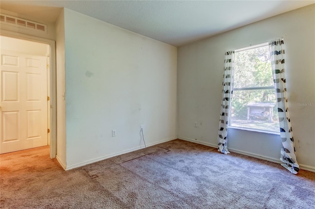 spare room featuring carpet floors