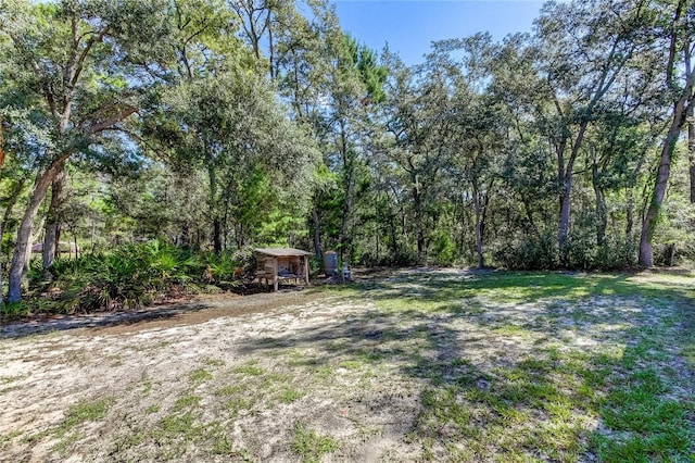 view of yard with a shed