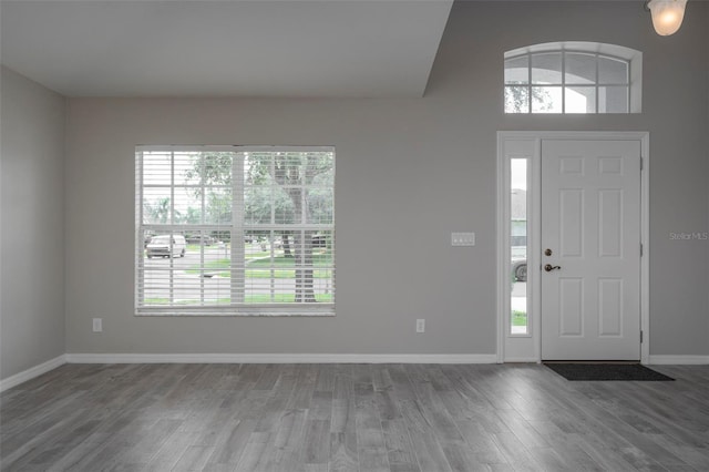 foyer entrance featuring hardwood / wood-style floors