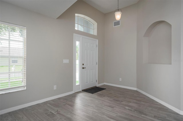 foyer entrance featuring wood-type flooring