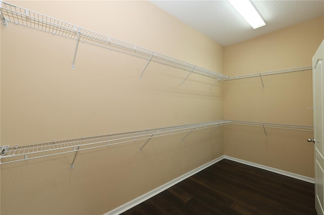 spacious closet featuring dark wood-type flooring