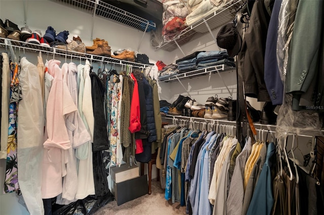 walk in closet featuring carpet flooring