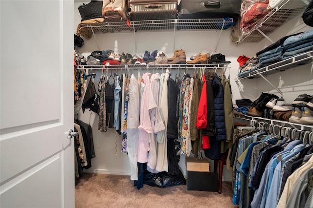 spacious closet with carpet