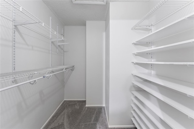 walk in closet with dark carpet