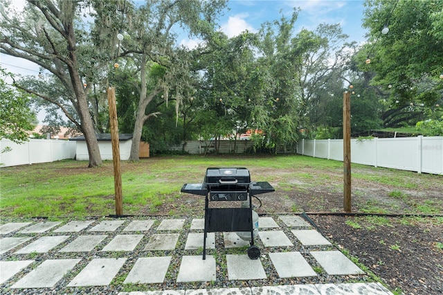 view of patio with a shed