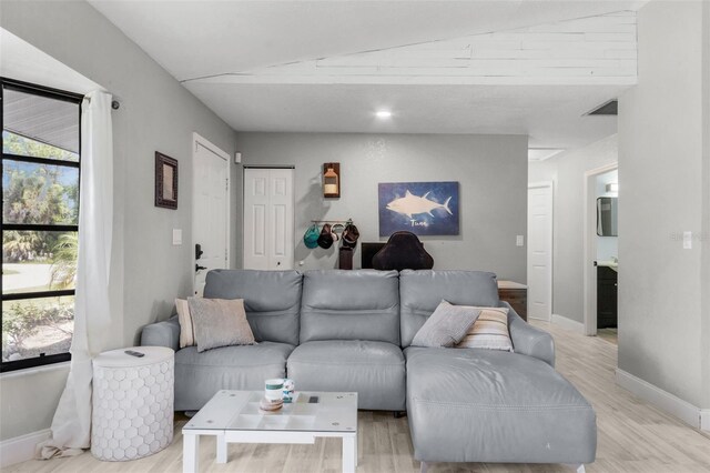 living room featuring a wealth of natural light, light wood-type flooring, and vaulted ceiling