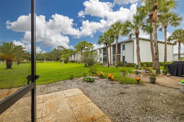 view of yard featuring a patio area