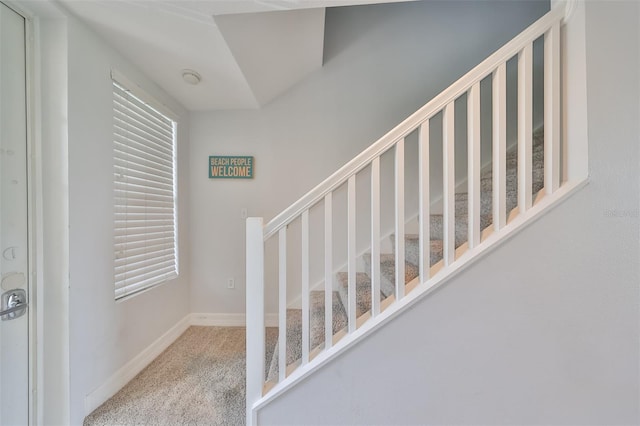 stairway featuring carpet floors